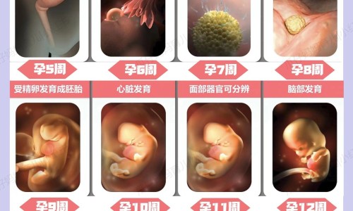 一个月之中女人最想做爱那一天网 - 网站提供女人一月当中哪几天最想同房小常识、女人一个月最想的几天
