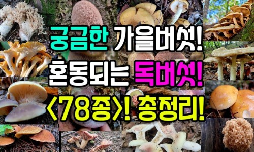 女人一个月什么时候最想爱-一个月之中女人最想做爱那一天网 - 网站提供女人一月当中哪几天最想同房小常识、女人一个月最想的几天