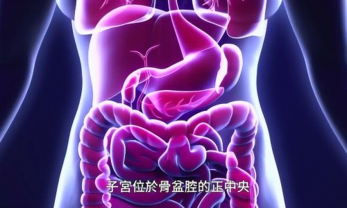 女人一月当中哪几天最想同房-一个月之中女人最想做爱那一天网 - 网站提供女人一月当中哪几天最想同房小常识、女人一个月最想的几天